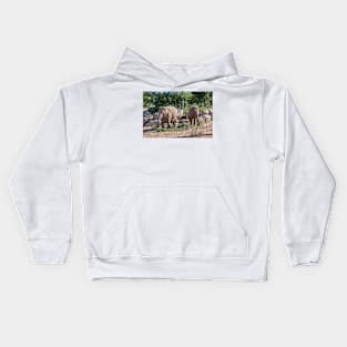 Pair of Asian Elephants eating Kids Hoodie